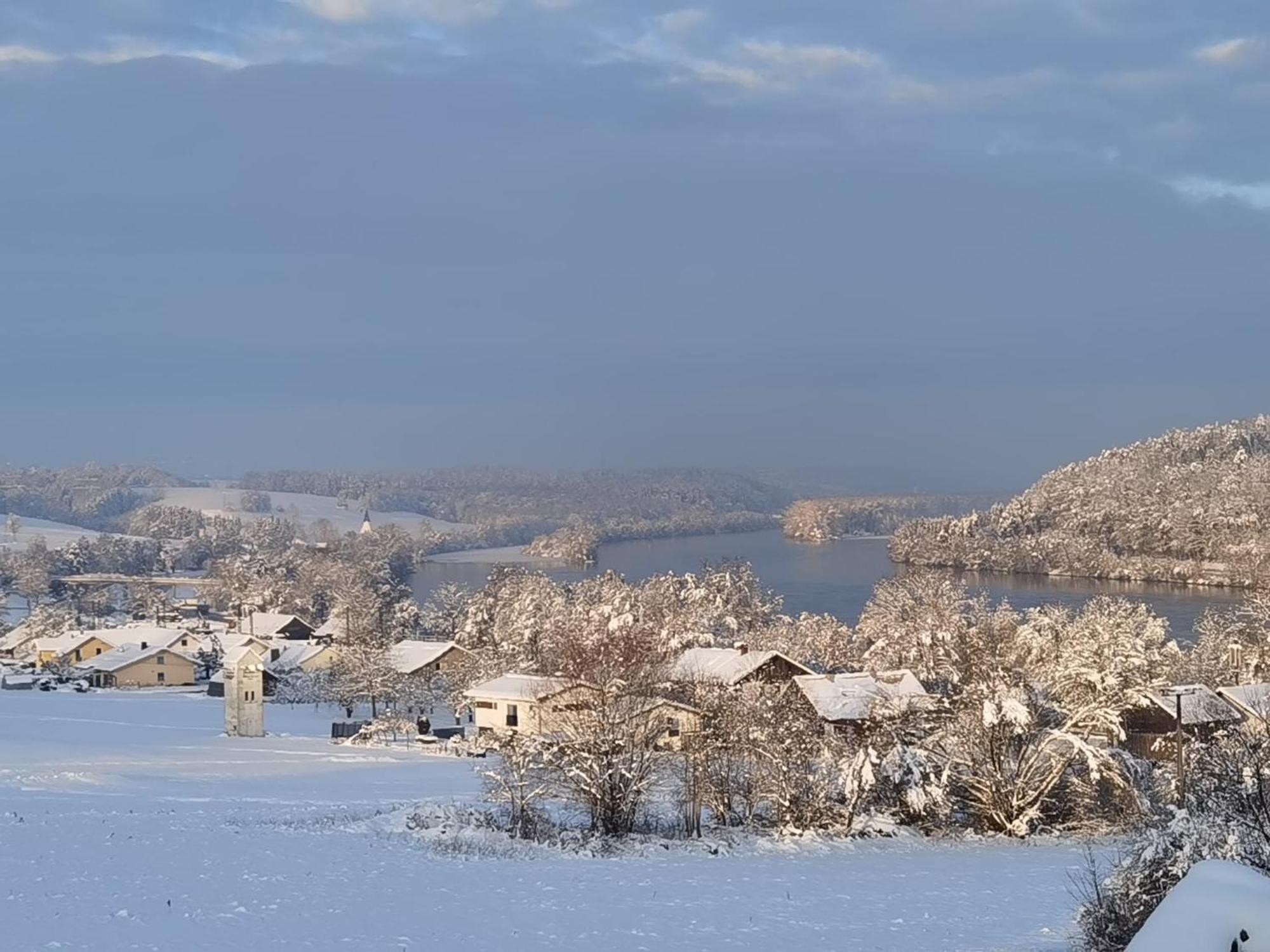 Mitterfelder Donaublick Διαμέρισμα Vilshofen an der Donau Εξωτερικό φωτογραφία